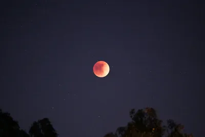 DSC_0909 (Large).JPG